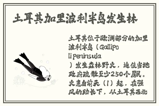 公交车一晃一晃就进去了视频
